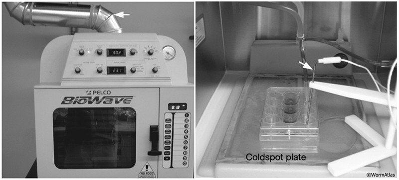 EMMicrowaveFIG 1: Microwave oven layout.